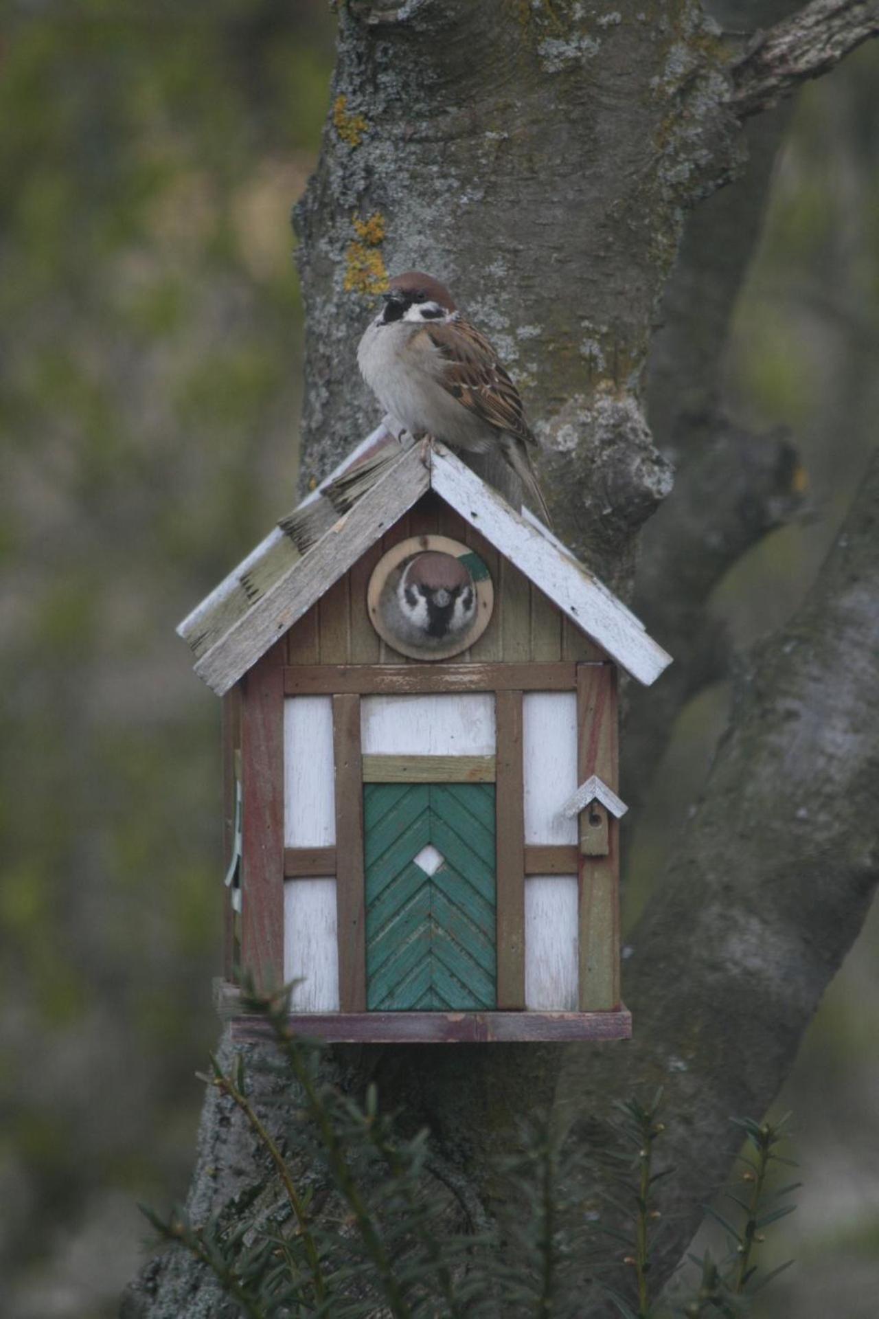 Lilla Huset Pa Slatten B&B Lund Zewnętrze zdjęcie