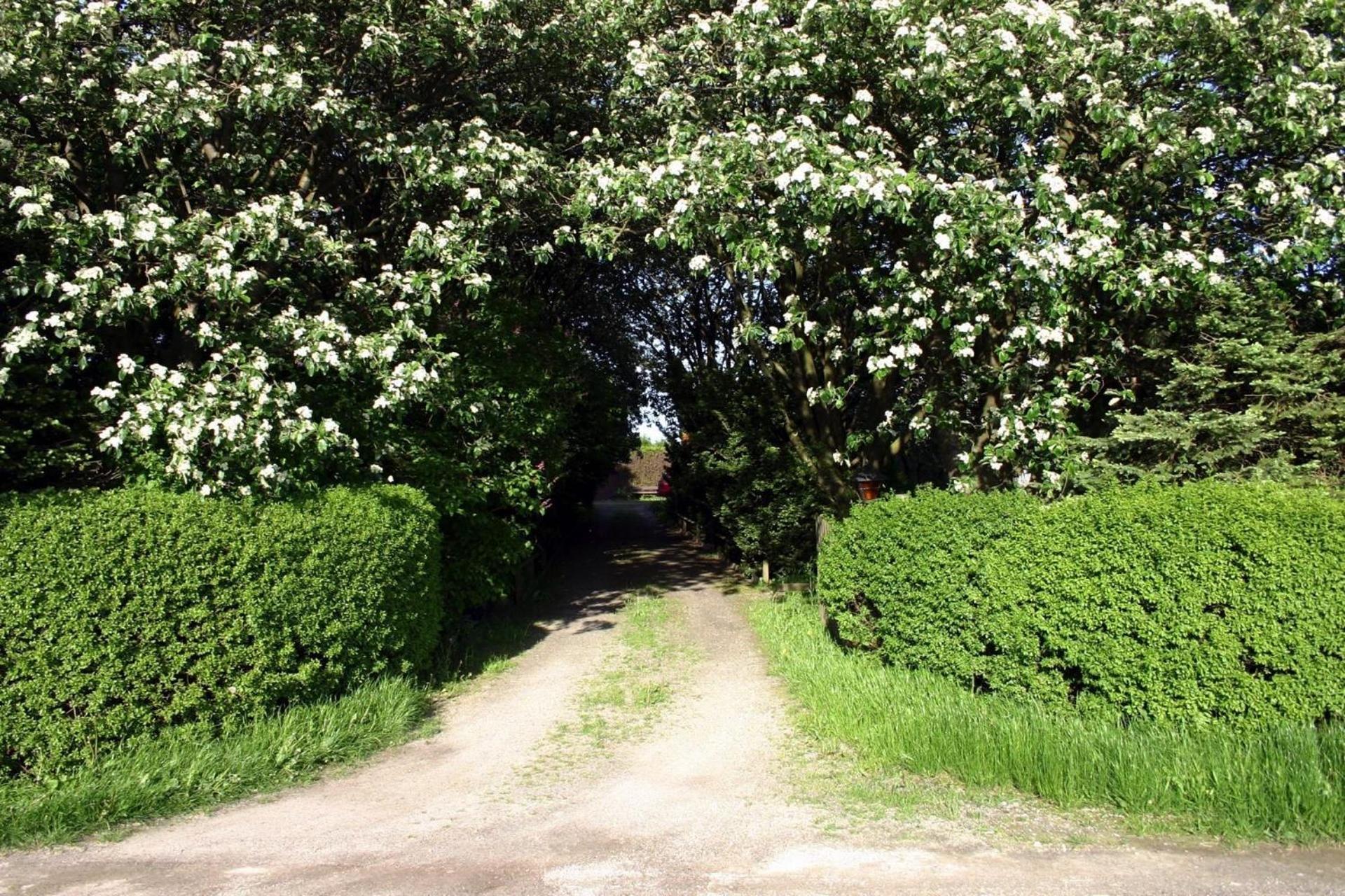 Lilla Huset Pa Slatten B&B Lund Zewnętrze zdjęcie