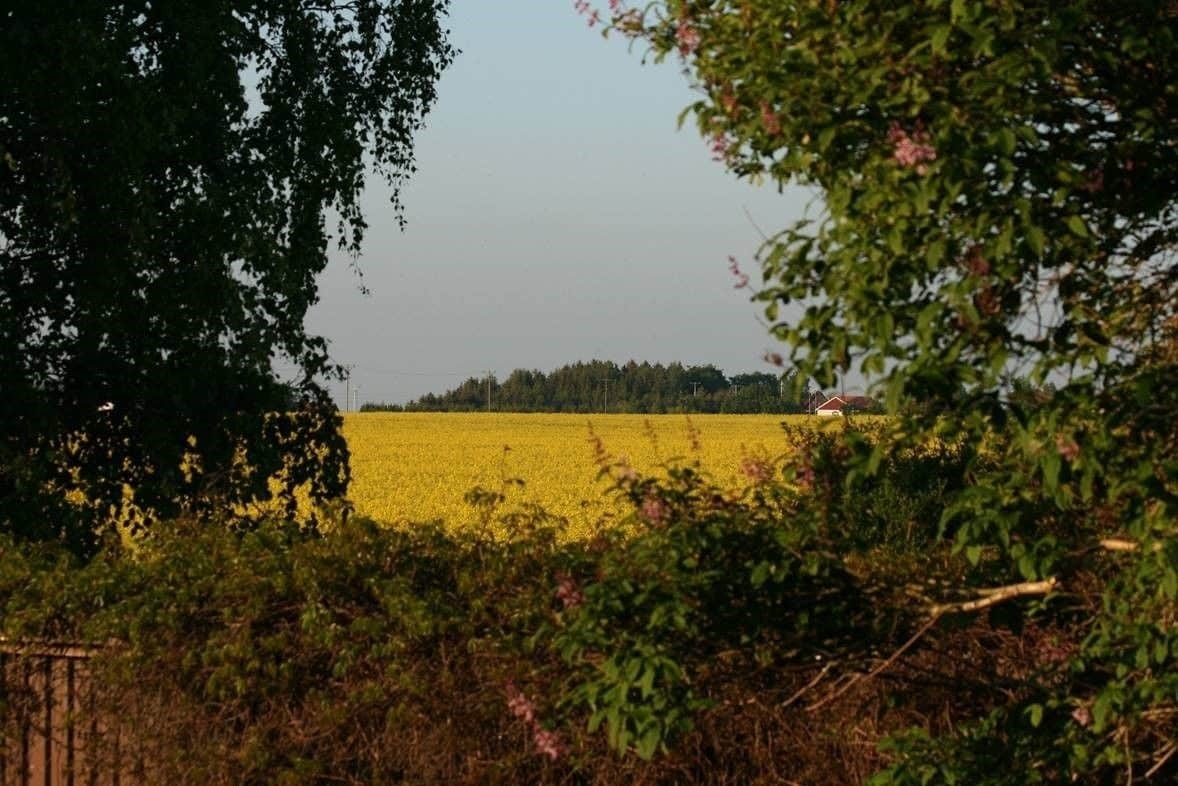 Lilla Huset Pa Slatten B&B Lund Zewnętrze zdjęcie